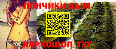 мдма Кингисепп