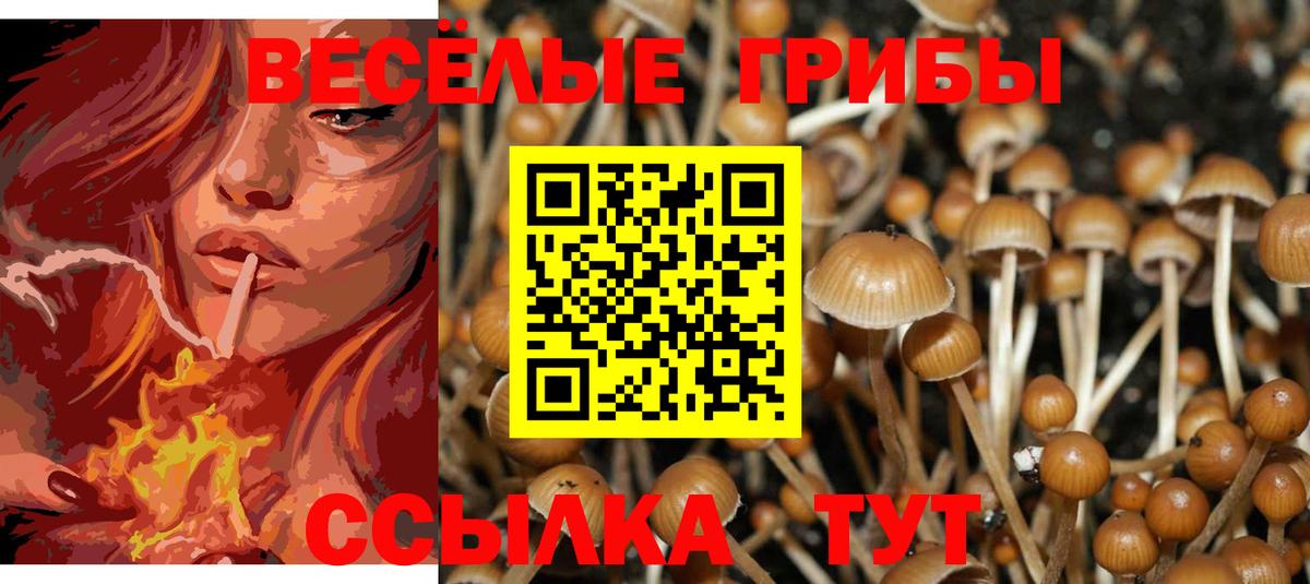 Псилоцибиновые грибы Magic Shrooms Тимашёвск